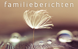 familieberichten 270px
