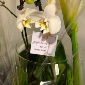 DSC 0124