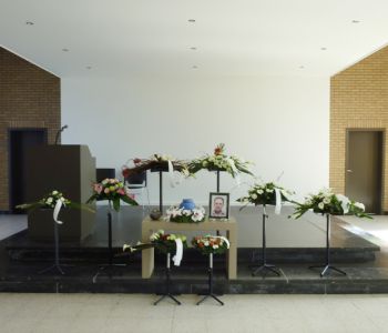 Aula Heyduin balen mol  6 