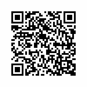qr.jpeg